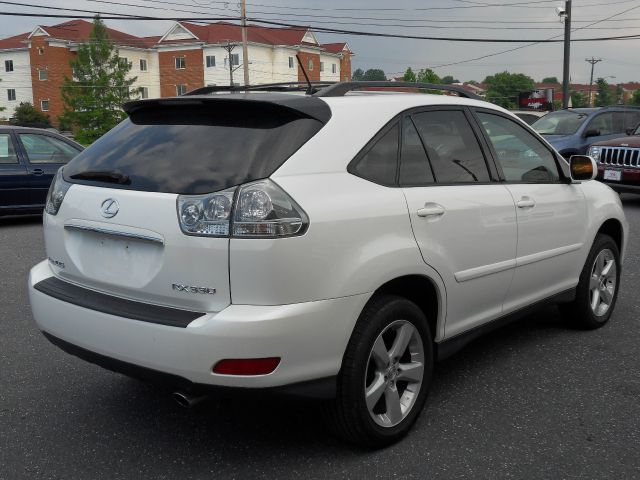 Lexus RX 330 2004 photo 1