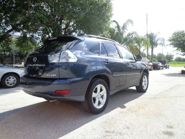 Lexus RX 330 2004 photo 9