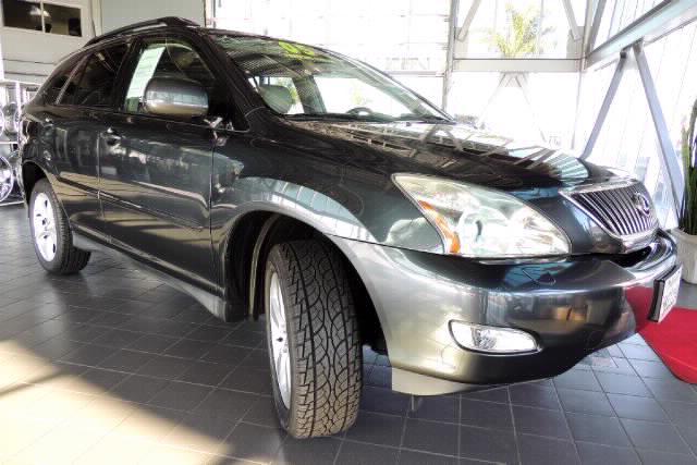 Lexus RX 330 2005 photo 3