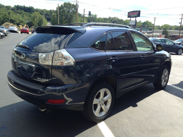 Lexus RX 330 2005 photo 4