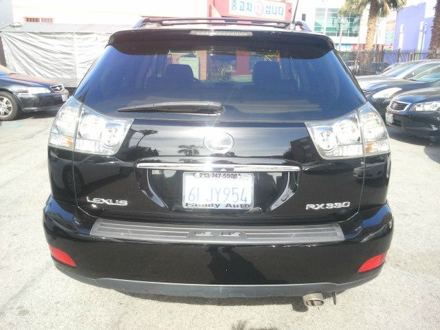 Lexus RX 330 2005 photo 15