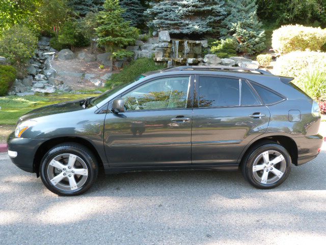 Lexus RX 330 2005 photo 1