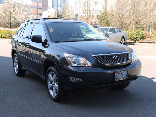 Lexus RX 330 2005 photo 4