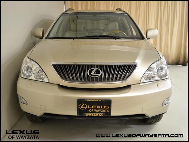 Lexus RX 330 2005 photo 3