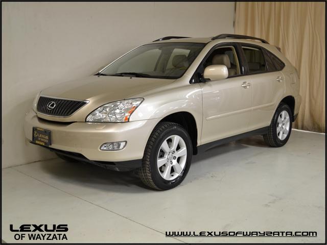 Lexus RX 330 2005 photo 4