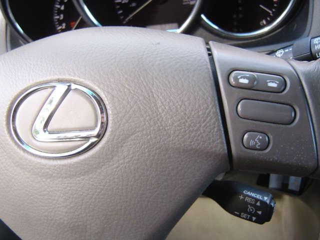 Lexus RX 330 2006 photo 9