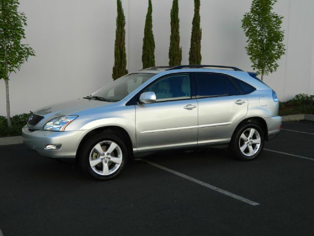 Lexus RX 330 2006 photo 3