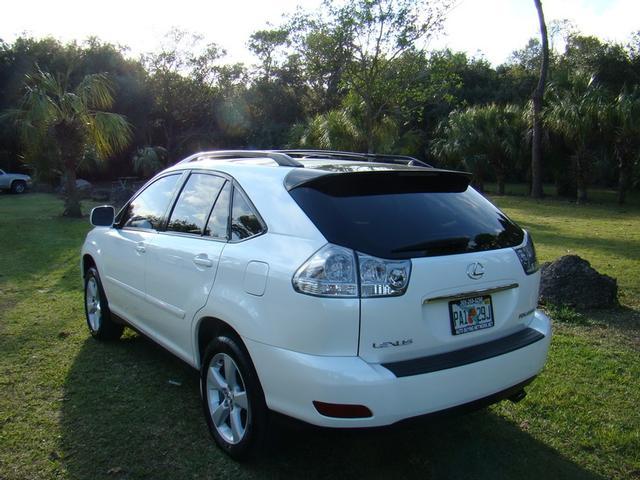 Lexus RX 330 2006 photo 3