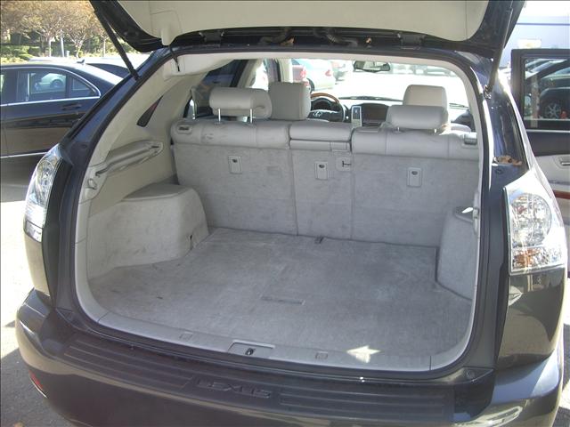 Lexus RX 330 2006 photo 3