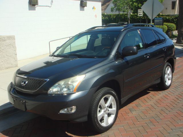 Lexus RX 330 2006 photo 4