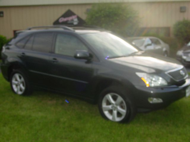 Lexus RX 330 2006 photo 3