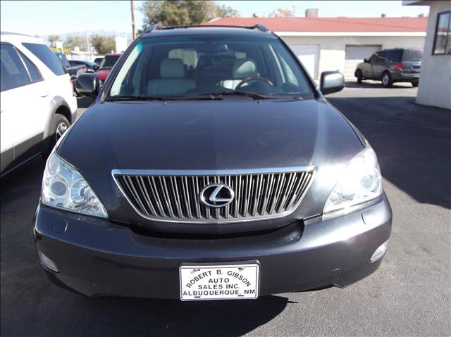 Lexus RX 330 2006 photo 3