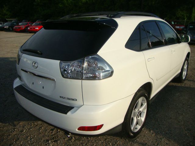 Lexus RX 330 2006 photo 4