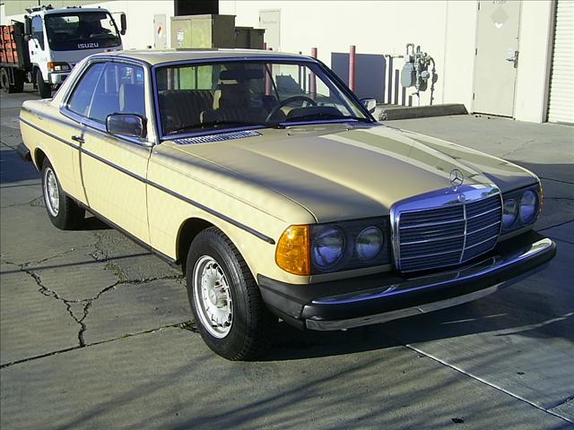 Mercedes-Benz 300 1980 photo 5