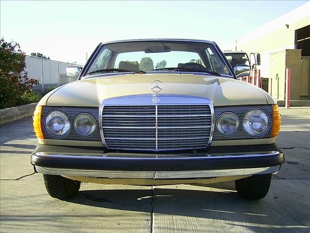 Mercedes-Benz 300 1980 photo 4