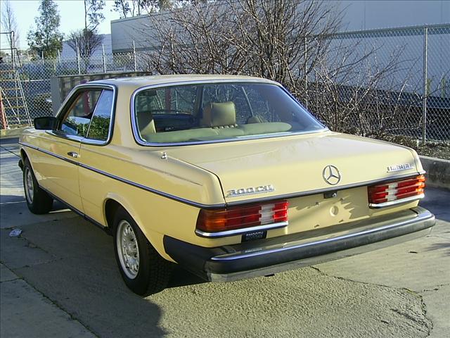 Mercedes-Benz 300 1980 photo 1