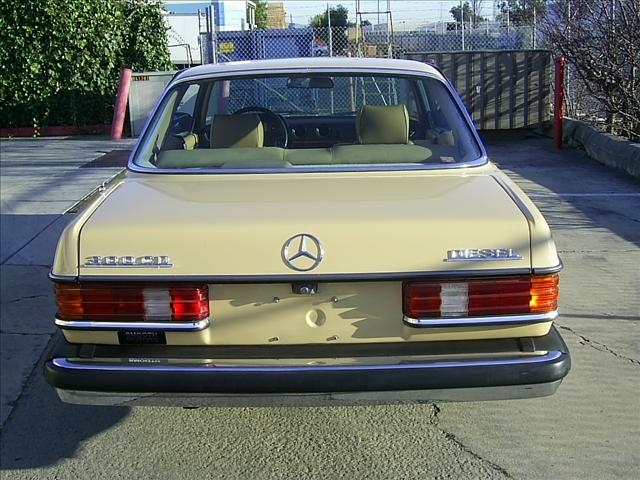 Mercedes-Benz 300 1980 photo 2