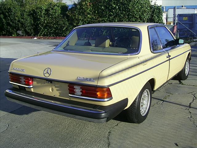 Mercedes-Benz 300 1980 photo 3