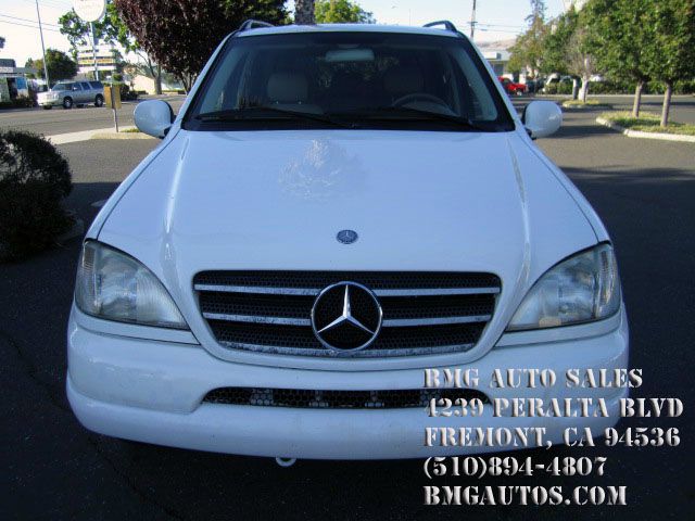 Mercedes-Benz M-Class 2000 photo 20