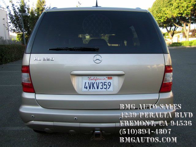 Mercedes-Benz M-Class 2002 photo 2