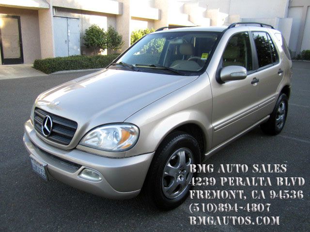 Mercedes-Benz M-Class 2002 photo 4