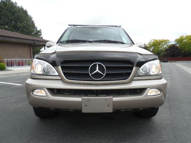 Mercedes-Benz M-Class 2002 photo 20