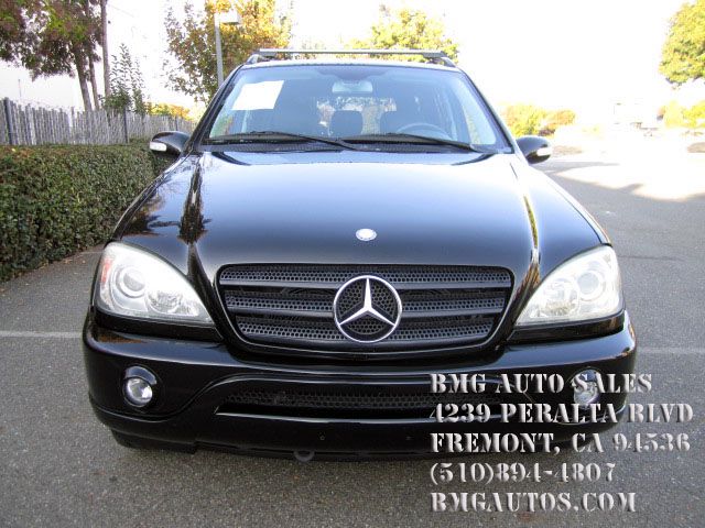 Mercedes-Benz M-Class 2002 photo 2