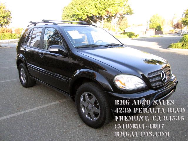 Mercedes-Benz M-Class 2002 photo 4