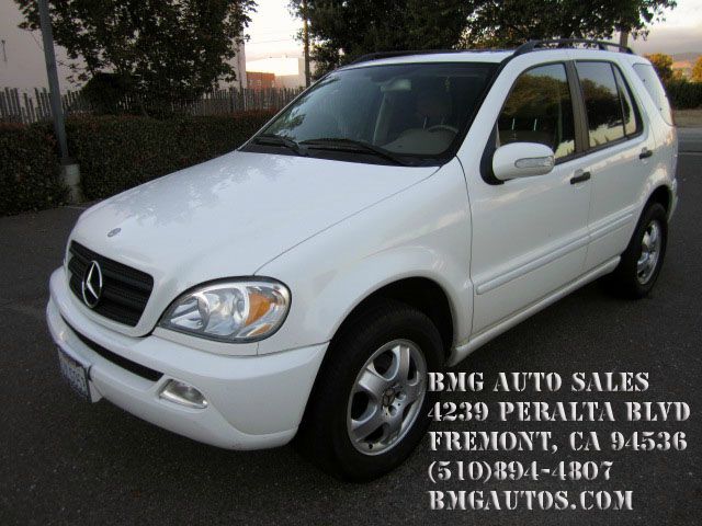 Mercedes-Benz M-Class 2002 photo 1