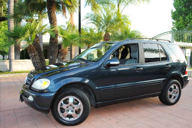 Mercedes-Benz M-Class 2002 photo 13