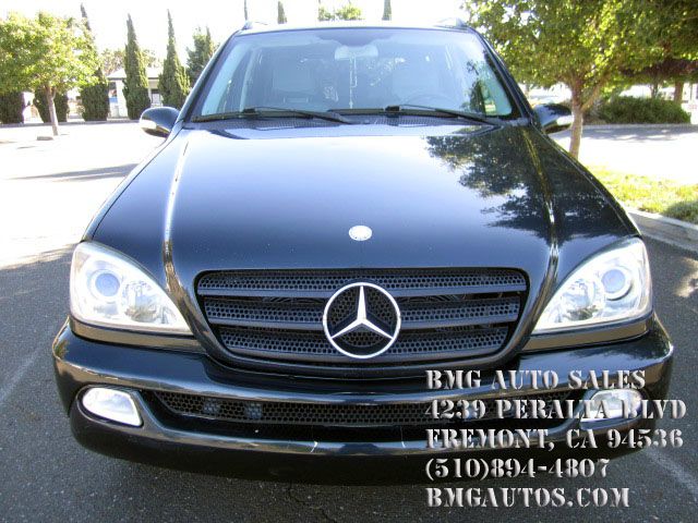 Mercedes-Benz M-Class 2002 photo 2