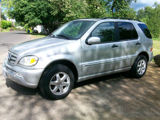 Mercedes-Benz M-Class 2003 photo 1