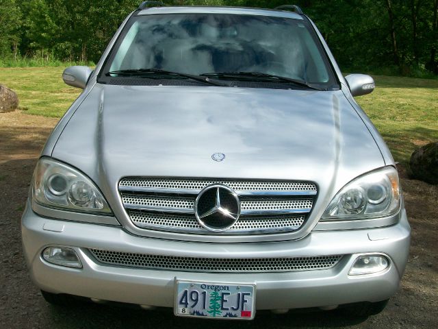 Mercedes-Benz M-Class 2003 photo 2