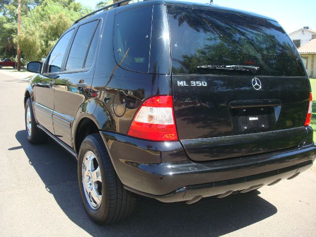 Mercedes-Benz M-Class 2003 photo 1