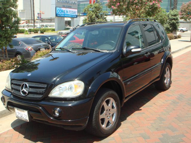 Mercedes-Benz M-Class 2003 photo 1