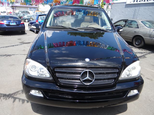 Mercedes-Benz M-Class 2004 photo 1