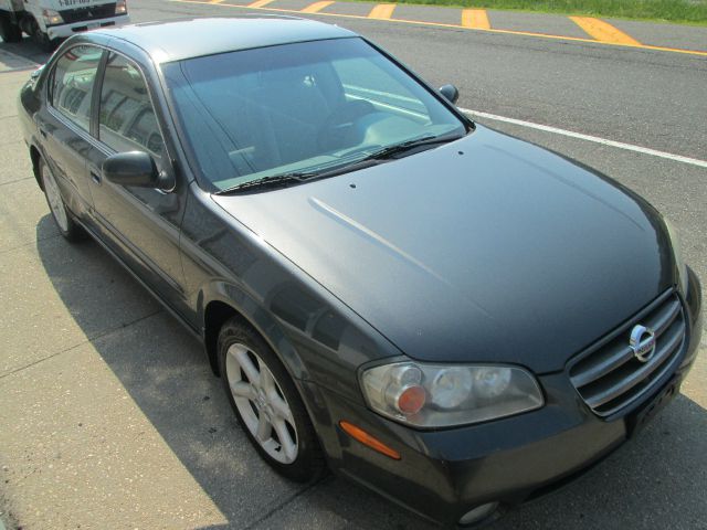 Nissan Maxima 2003 photo 6