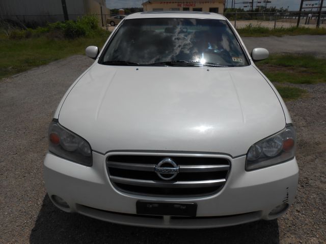 Nissan Maxima 2003 photo 11