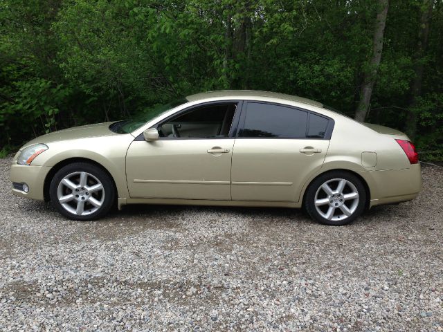 Nissan Maxima 2004 photo 8