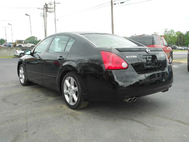 Nissan Maxima 2004 photo 6