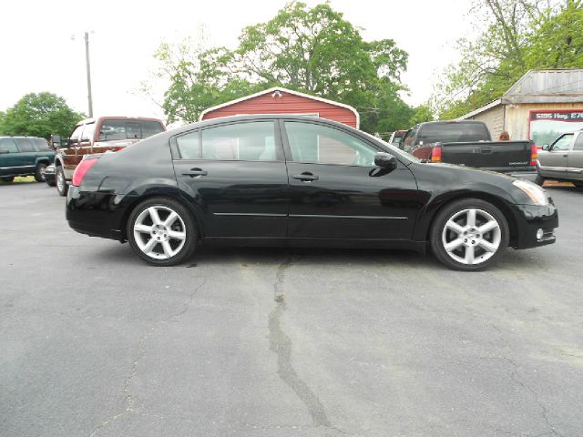 Nissan Maxima 2004 photo 8