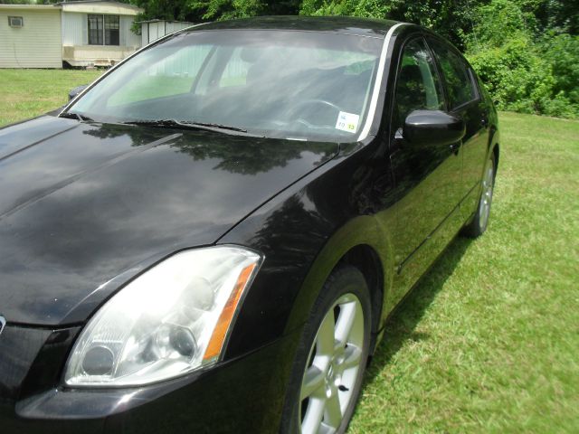 Nissan Maxima 2004 photo 22