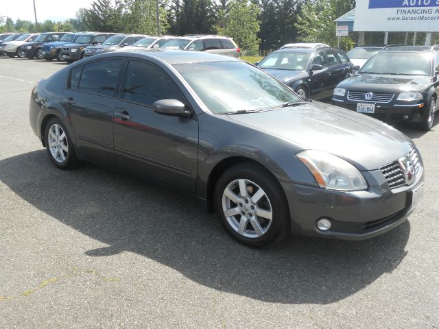 Nissan Maxima 2004 photo 2