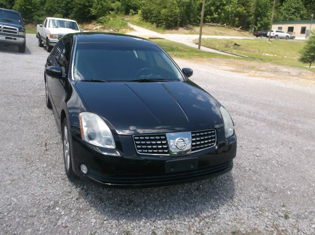 Nissan Maxima 2005 photo 2