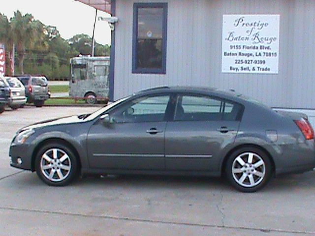 Nissan Maxima 2006 photo 6