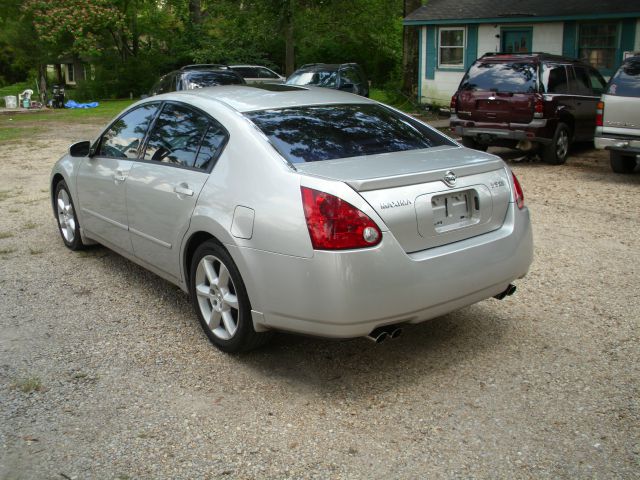 Nissan Maxima 2006 photo 8