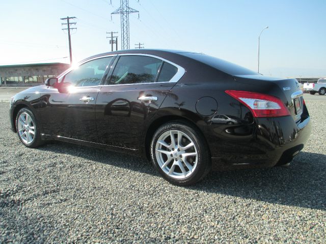 Nissan Maxima 2010 photo 6