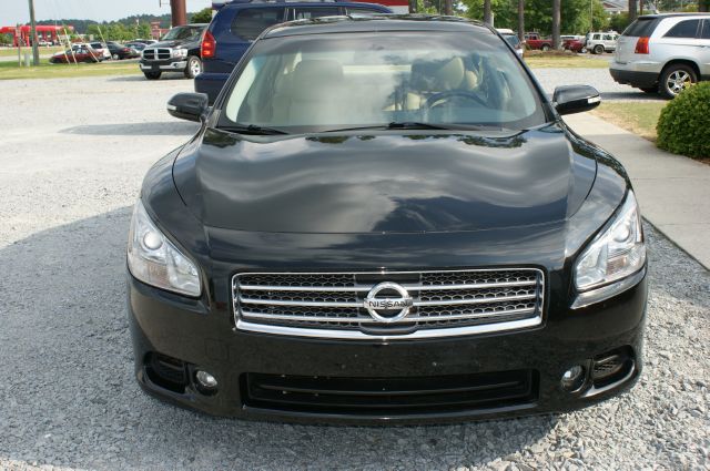 Nissan Maxima 4.6L Eddie Bauer Sedan