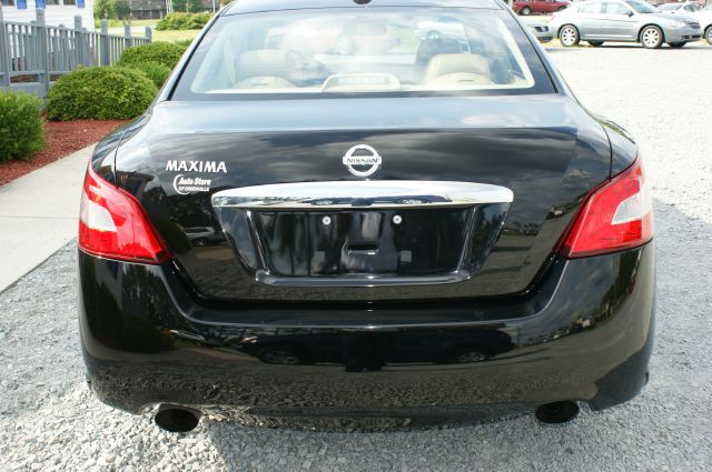 Nissan Maxima 2010 photo 14