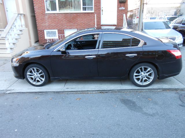 Nissan Maxima 2010 photo 1